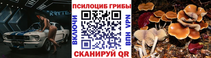 Галлюциногенные грибы прущие грибы  Адыгейск 